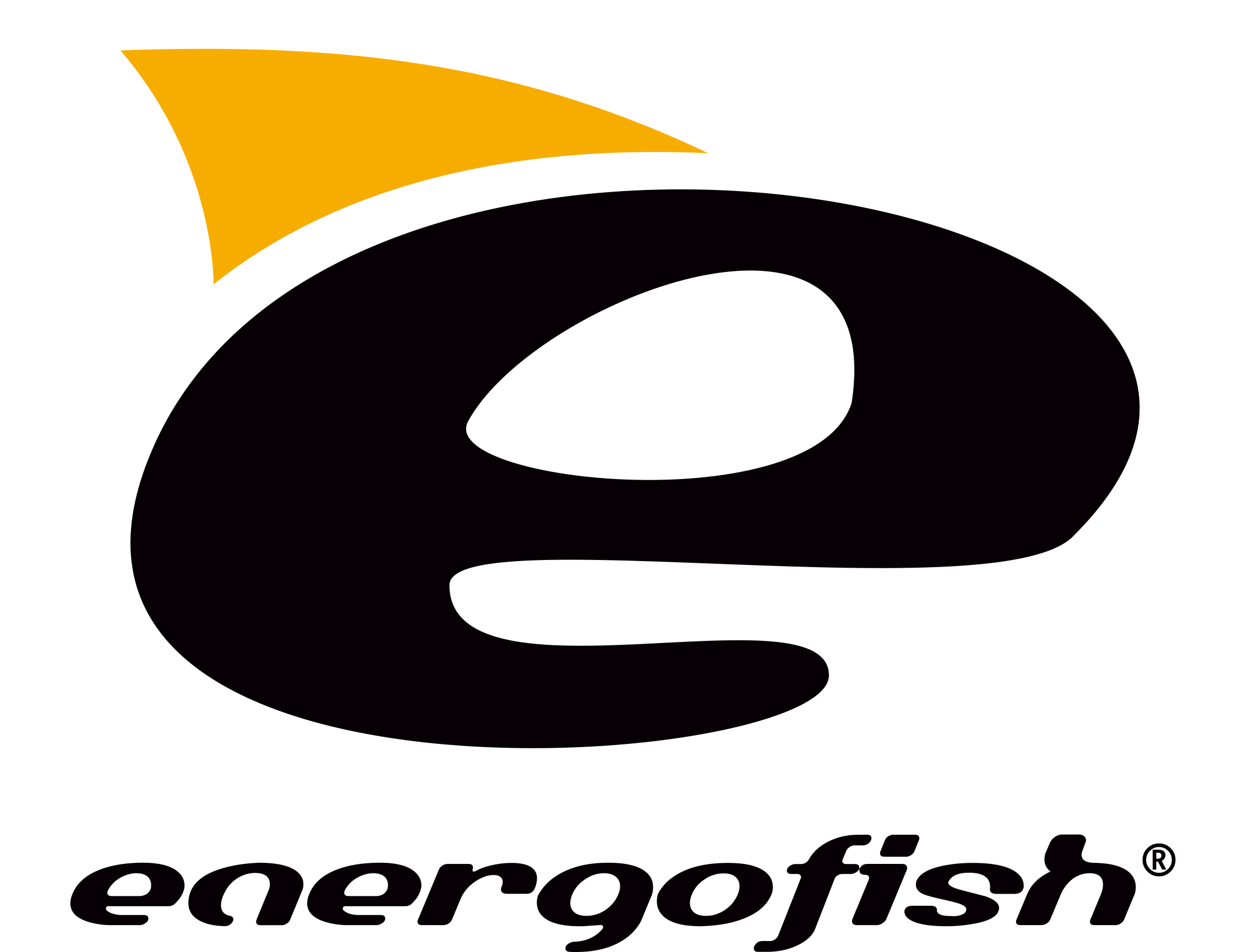 Energofish